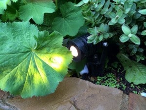 Automated Garden Light